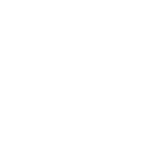 Blackbird Light Logo